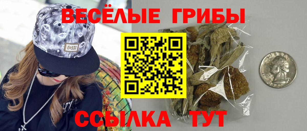 Воронеж  Галлюциногенные грибы ЛСД  Вход с VPN 